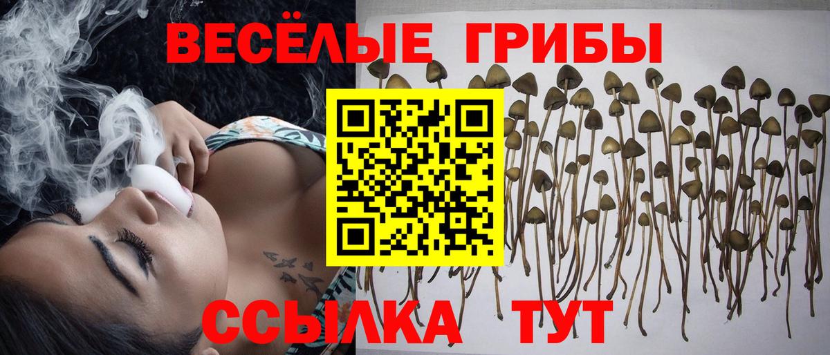 Отрадное  что такое   Вход с VPN  Псилоцибиновые грибы мухоморы 