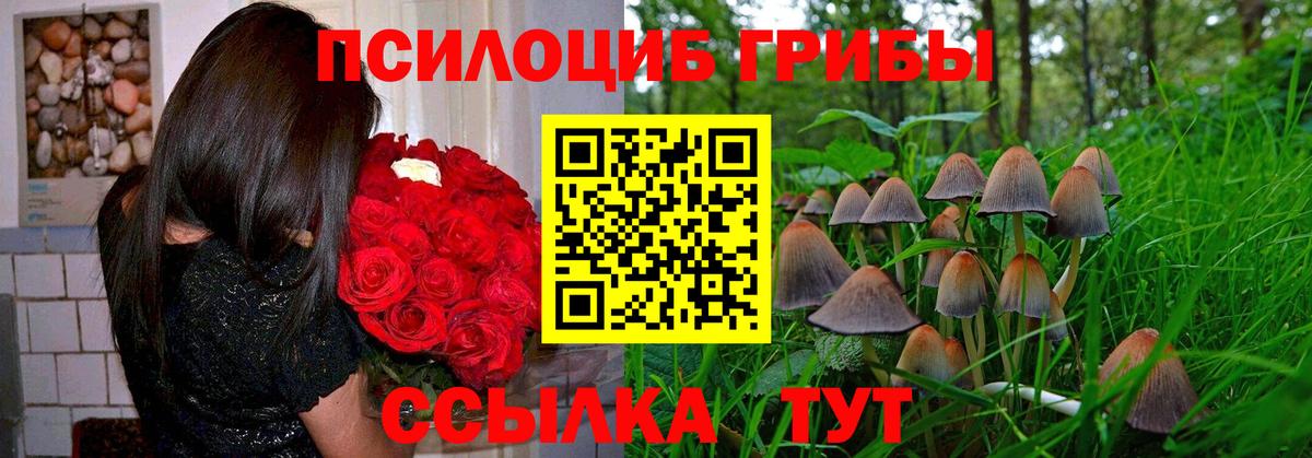 Псилоцибиновые грибы прущие грибы Отрадное